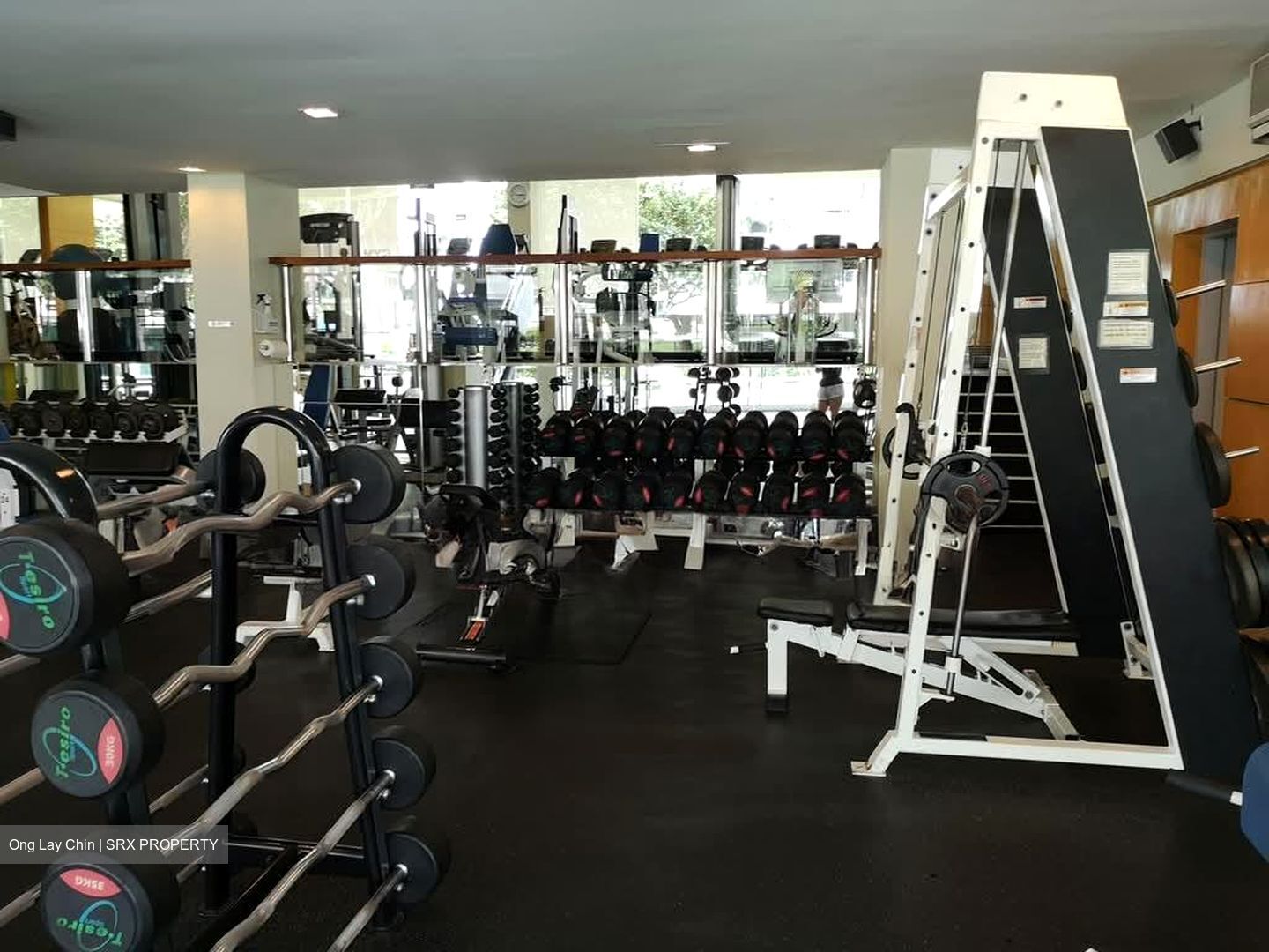 Mandarin Gardens (D15), Condominium #574203211